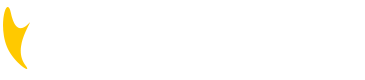 New Fitness Modena Logo